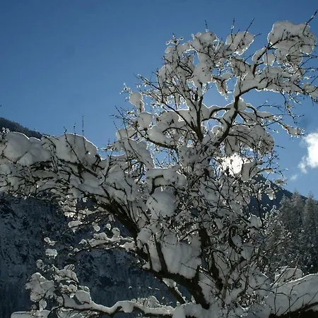 Appartamento Des Alpes 2 *