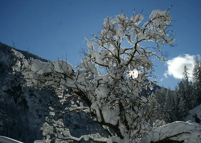 公寓 Des Alpes 2 *